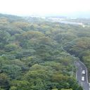 Voyage au Japon : découvrir le pays hors de sentiers battus