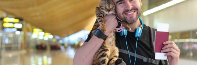 Partir en vacances : avec ou sans son chat ?