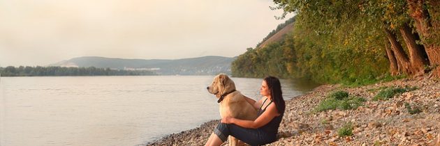 Voyager avec son chien : quelques destinations à retenir