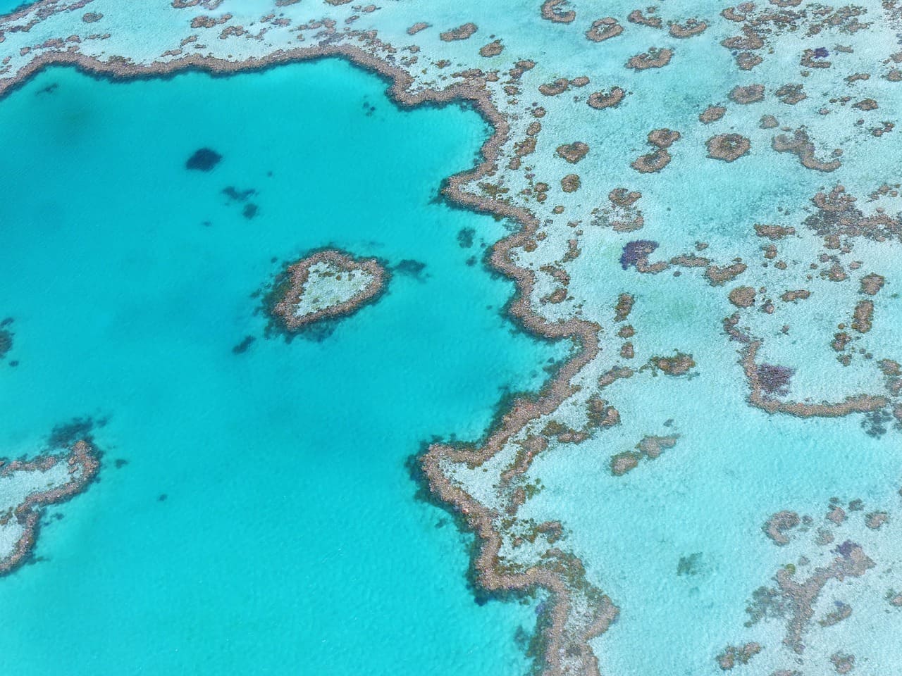 Grande Barrière de corail