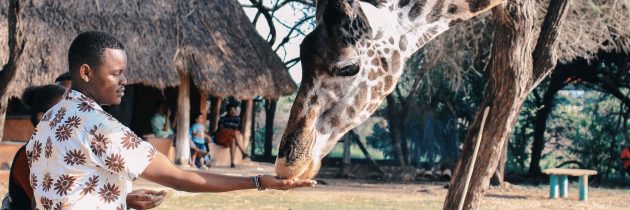 Que mettre dans sa valise pour un safari en Afrique ?