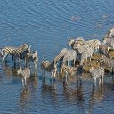 Escapade au Botswana : 3 sites d’intérêt touristique à découvrir