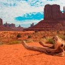 3 sites incontournables à visiter en Arizona lors d’un séjour aux USA