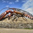 À la découverte des sites touristiques du Nouveau-Brunswick au Canada