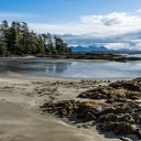 Visiter le magnifique village de Tofino pour une escapade au Canada