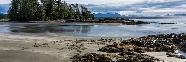 Visiter le magnifique village de Tofino pour une escapade au Canada