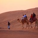 Conseils pour un voyage écotouristique réussi aux Émirats arabes unis