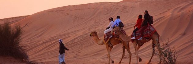 Conseils pour un voyage écotouristique réussi aux Émirats arabes unis
