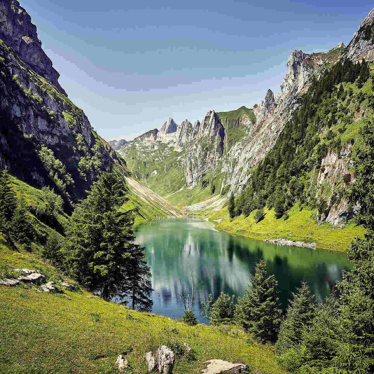 paysages suisses