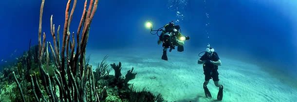 Découvrir la plongée au cœur des Bahamas