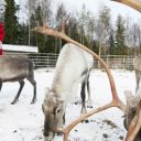 Noël en Laponie, à la découverte du village du père noël !