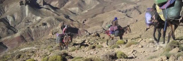 Quel budget préparer pour un trekking dans le désert du Maroc