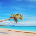 Quelle île du trapèze des Mascareignes choisir pour vos prochaines vacances ?