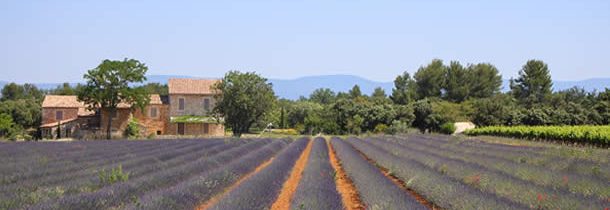 3 raisons de réserver votre location vacances avec Plaisirs et Maisons de Provence
